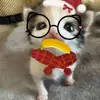 抽屉里