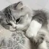 沈阳边后卫小孙7