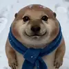 宇智波宝宝