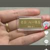 潘帕斯大飞鹰