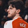 Rice_41