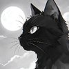 昌平驻村黑猫