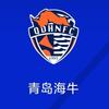 海牛俱乐部总经理