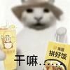 假装高冷不说话