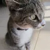 延边KECER