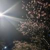 韶关雷恩小陆