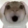谯桥巴乔巴
