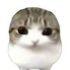 倾心绪