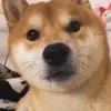 最终幻想an