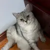 sollllllll