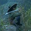 西街揸FIT人