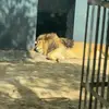 神啊我有罪