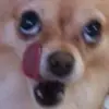 辣手弗里曼