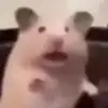 湖南大磨坊球场小郑7