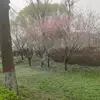 劳塔罗德保罗罗梅罗
