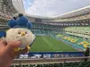 梅Asumi