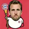 青年禁卫军