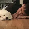 亚洲之王龙之队