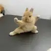 成都梅纳乌球场小薛
