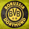 德甲常务副冠军bvb