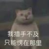 123无所谓