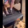 我确实看不起你啊