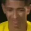 TF家族裘德贝林厄姆