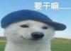 oopsity