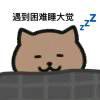 浙江摩纳哥小莫