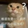 给我个面子别吵了