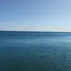 原子猴