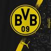 _-BVB-_