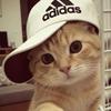 天道酬勤HERO