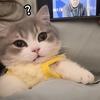 曼联传奇Garnacho
