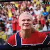 人如其名哈兰德