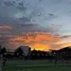 高产边锋11