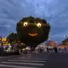 快乐池塘里的小青蛙