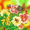南京金球奖小马8