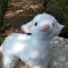 angelabb
