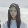 曼联鼠鼠