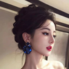 枪手asn01