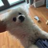 无敌恶霸