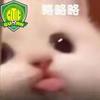 不失傲骨