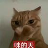 柏廷BaiTing