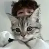 收藏夹情书