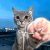 心存伊蒂哈德
