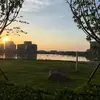 风卷残云11号