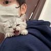 临清伟世豪