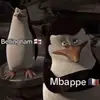 球迷23602856