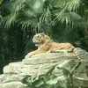 洎阳城